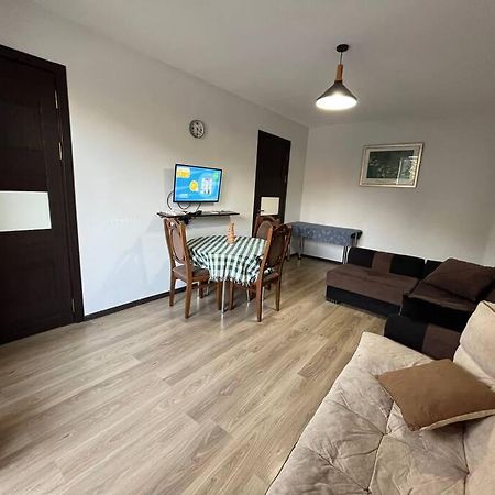 Ana'S Cosy Home In Borjomi Center Εξωτερικό φωτογραφία